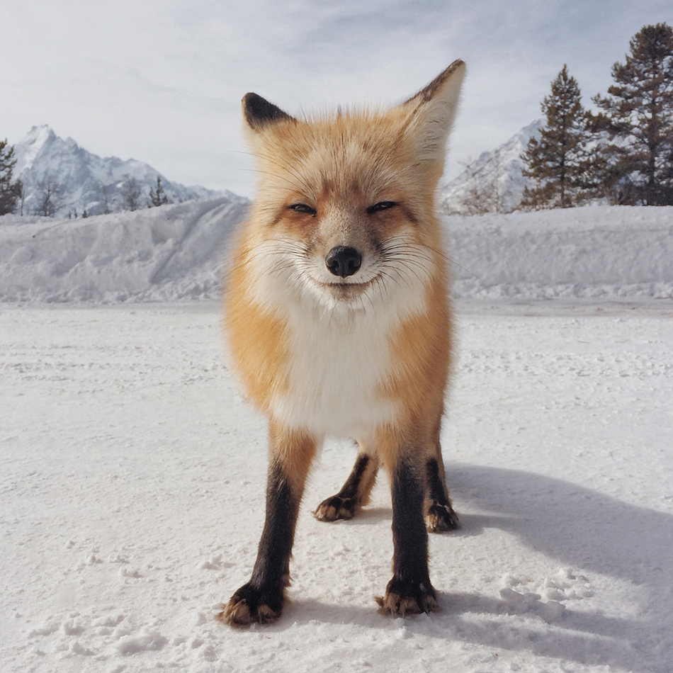 http://www.macfreak.nl/modules/news/images/Art.2014-iPhonePhotographyAwards-4.jpg