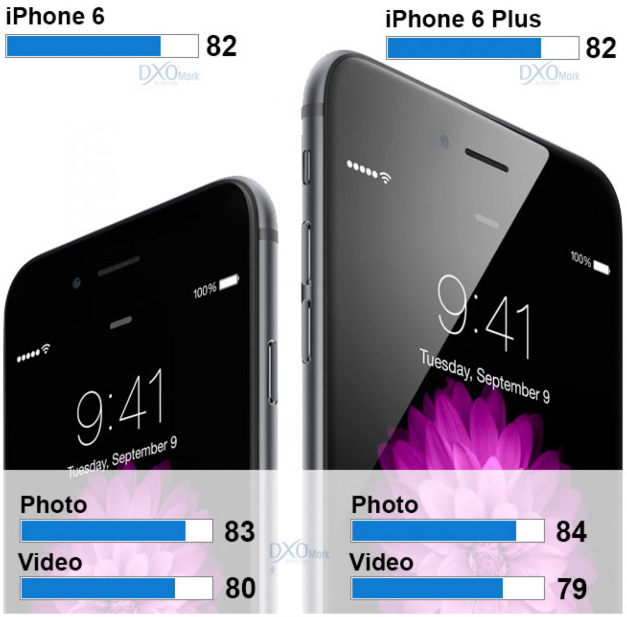 http://www.macfreak.nl/modules/news/images/Art.iPhone6TestDxO-1.png