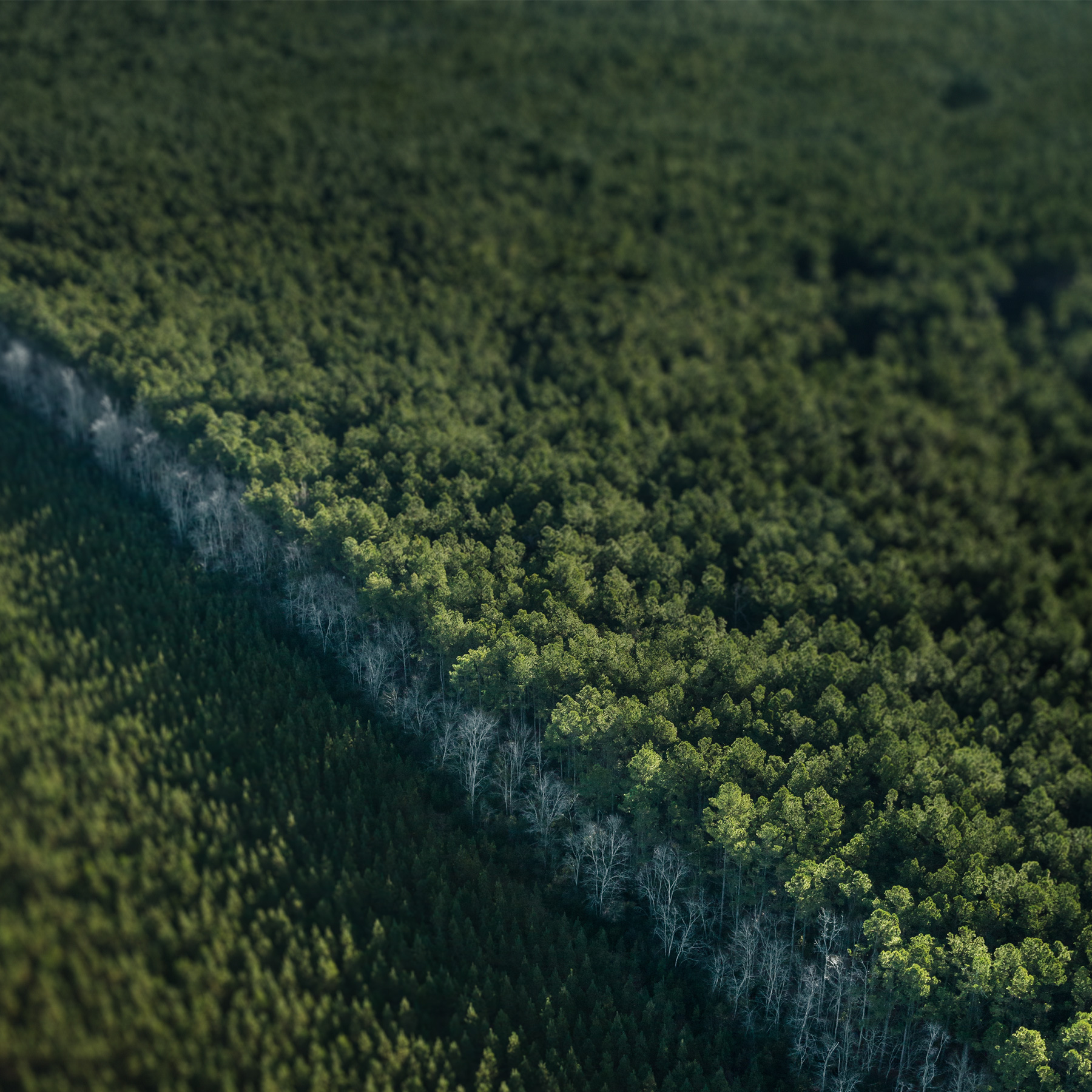 http://www.macfreak.nl/modules/news/images/zAppleEarthDayWallpaper-12.jpg