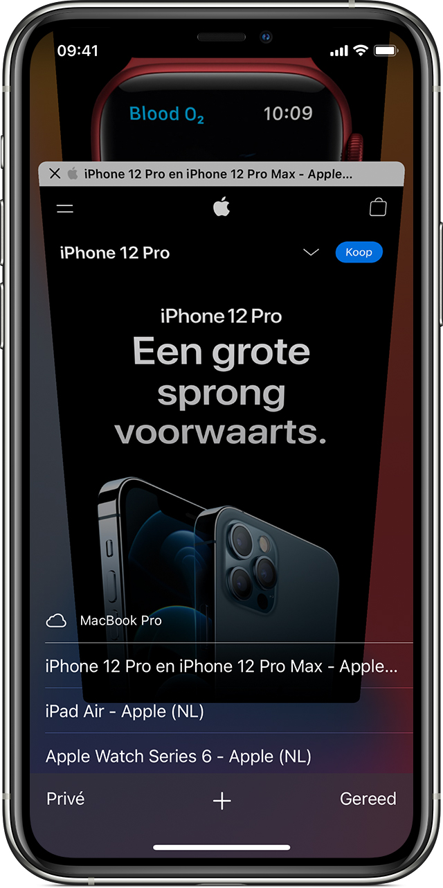 ios14-iphone-11-pro-safari-icloud-tabs-view-mac-tabs.jpg