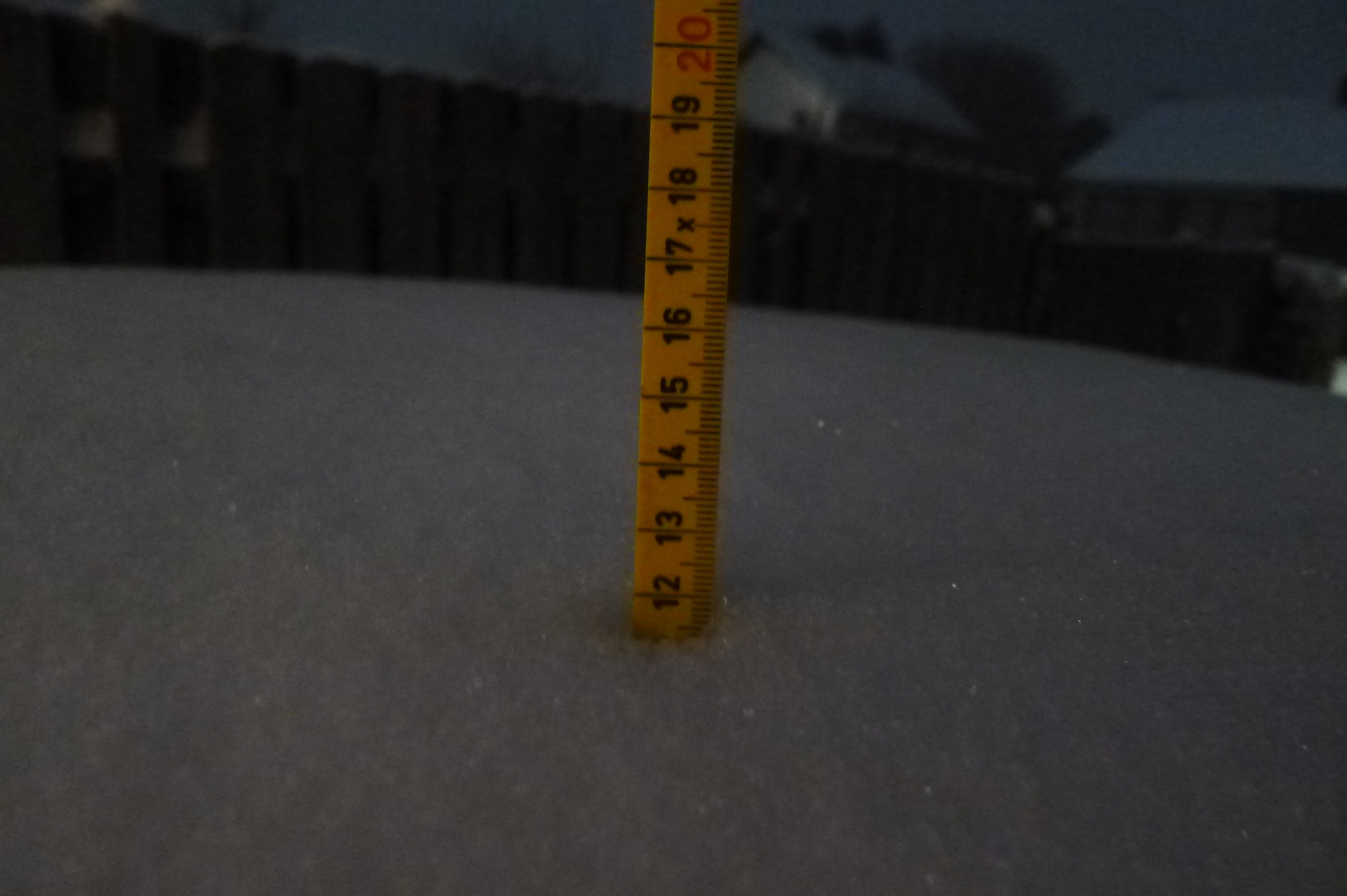 12 cm sneeuw.JPG