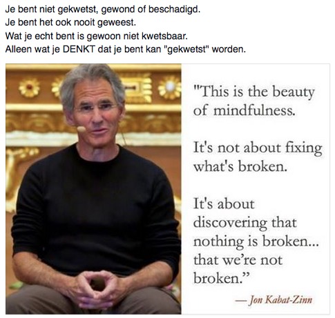 Je bent niet gekwetst, gewond of beschadigd - Jon Kabat-Zinn.jpg