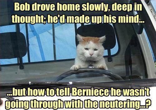 bob drove home slowly.jpg