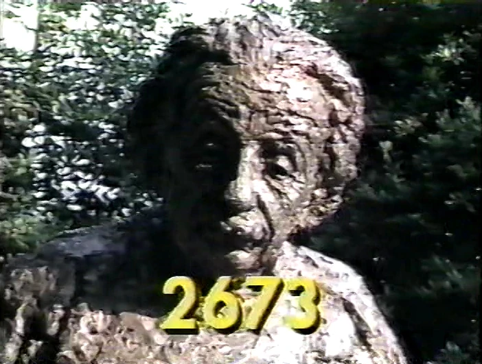 2673.webp