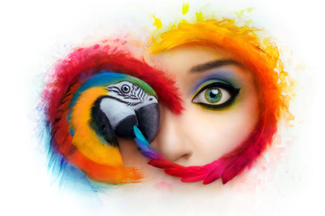 https://www.macfreak.nl/modules/news/images/AdobeCreativeCloud.jpg