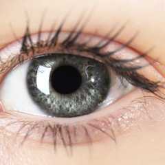 https://www.macfreak.nl/modules/news/images/Oog-icoon.jpg