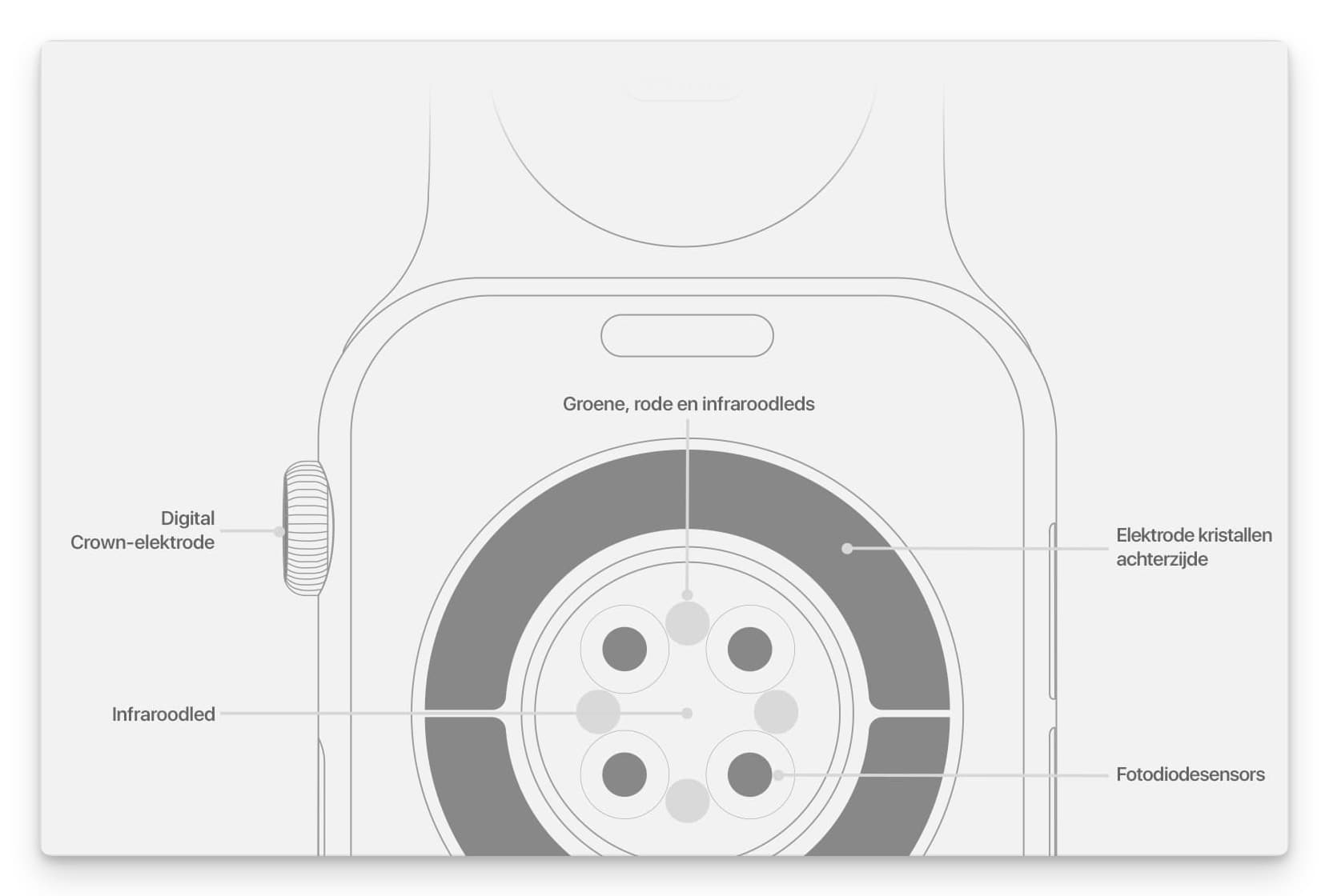https://www.macfreak.nl/modules/news/images/zArt.AppleWatchSeries6Sensors.jpg