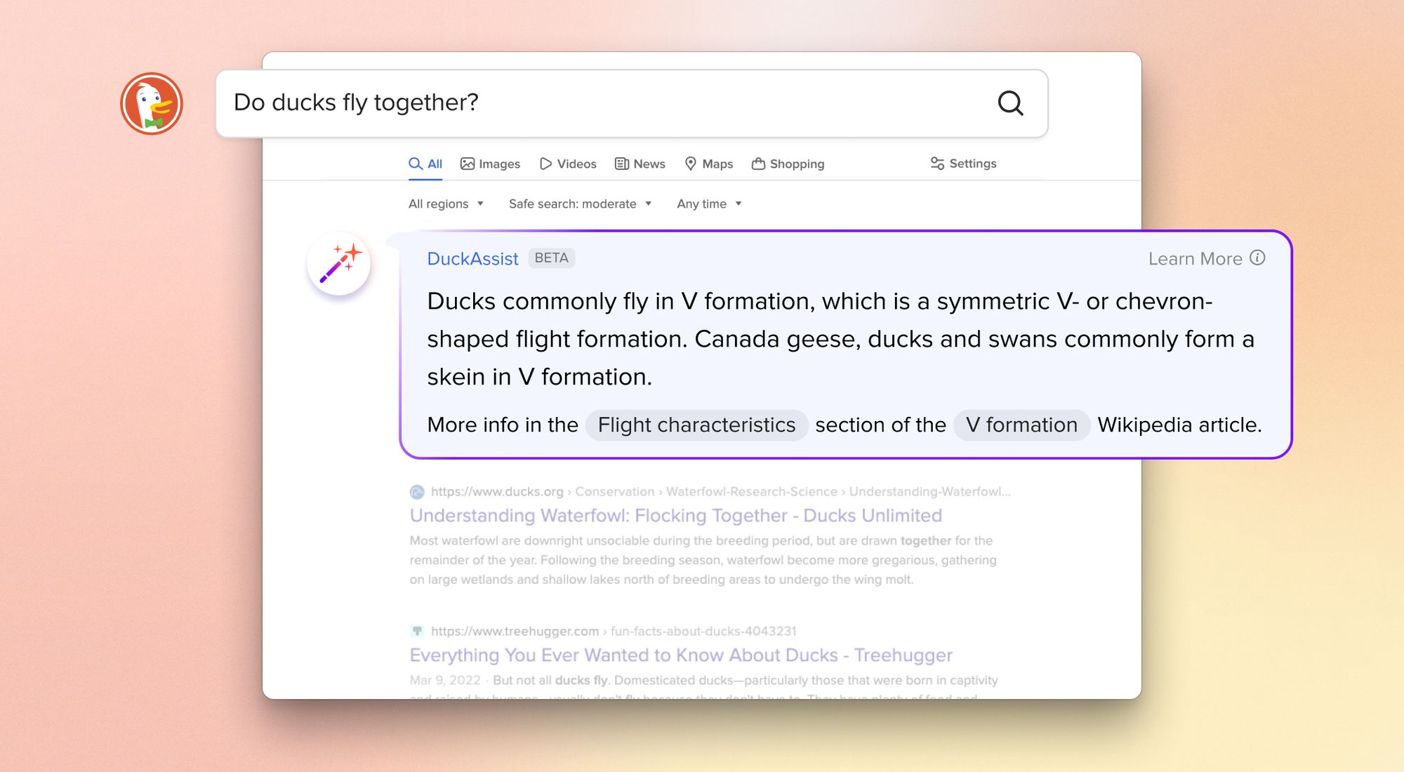 https://www.macfreak.nl/modules/news/images/zArt.DuckDuckGoDuckAssist.jpg