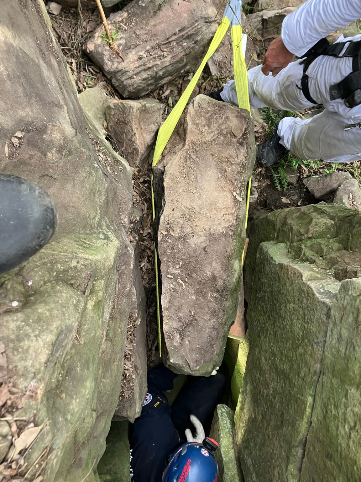 https://www.macfreak.nl/modules/news/images/zArt.MatildaCampbellRescue-2.jpg