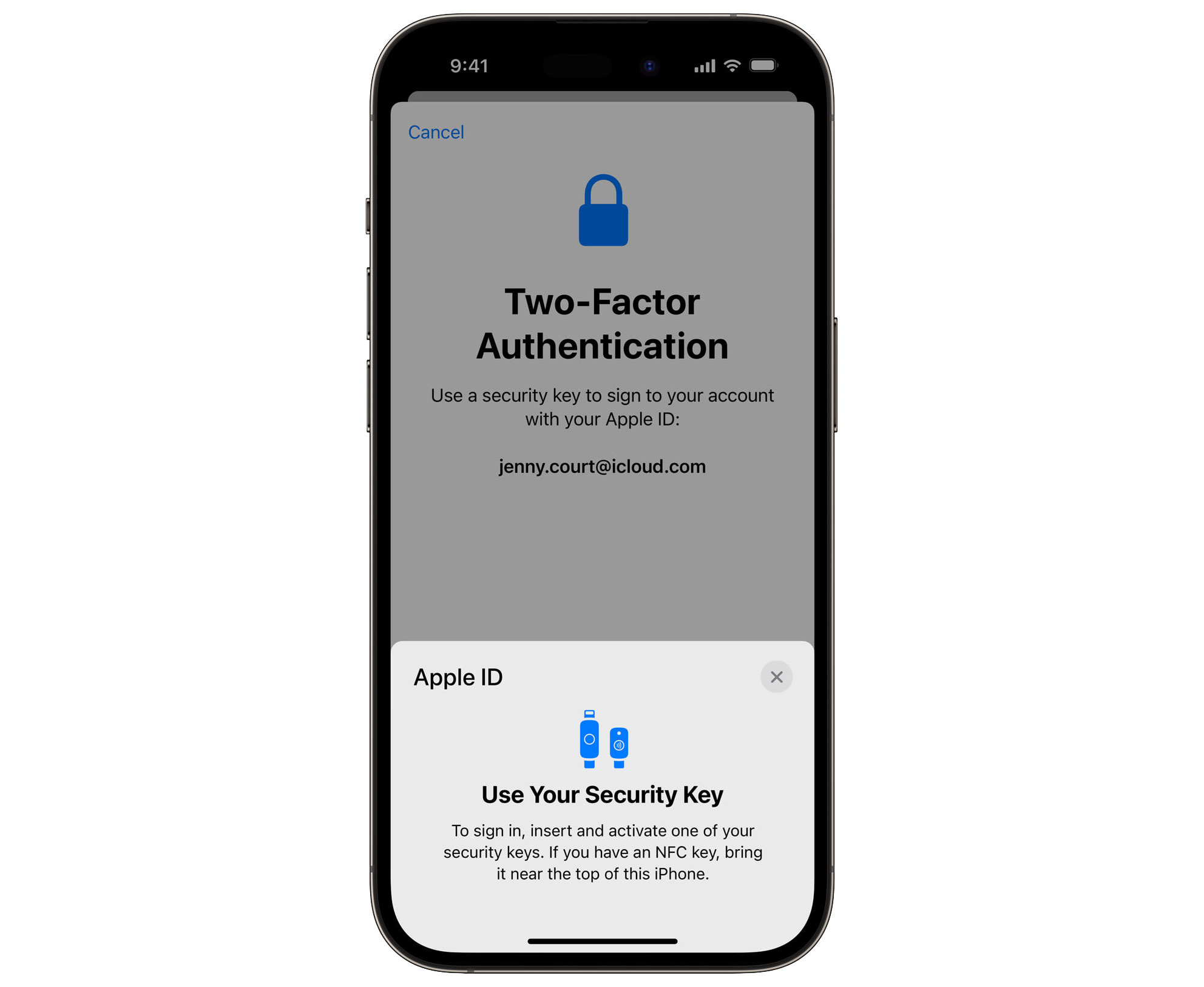 https://www.macfreak.nl/modules/news/images/zArt.iCloudSecurityKeys.jpg