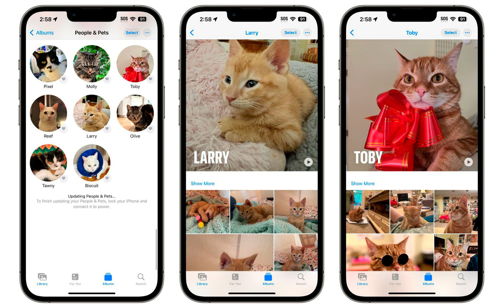 https://www.macfreak.nl/modules/news/images/zArt.iOS-17PetsPhotos.jpg