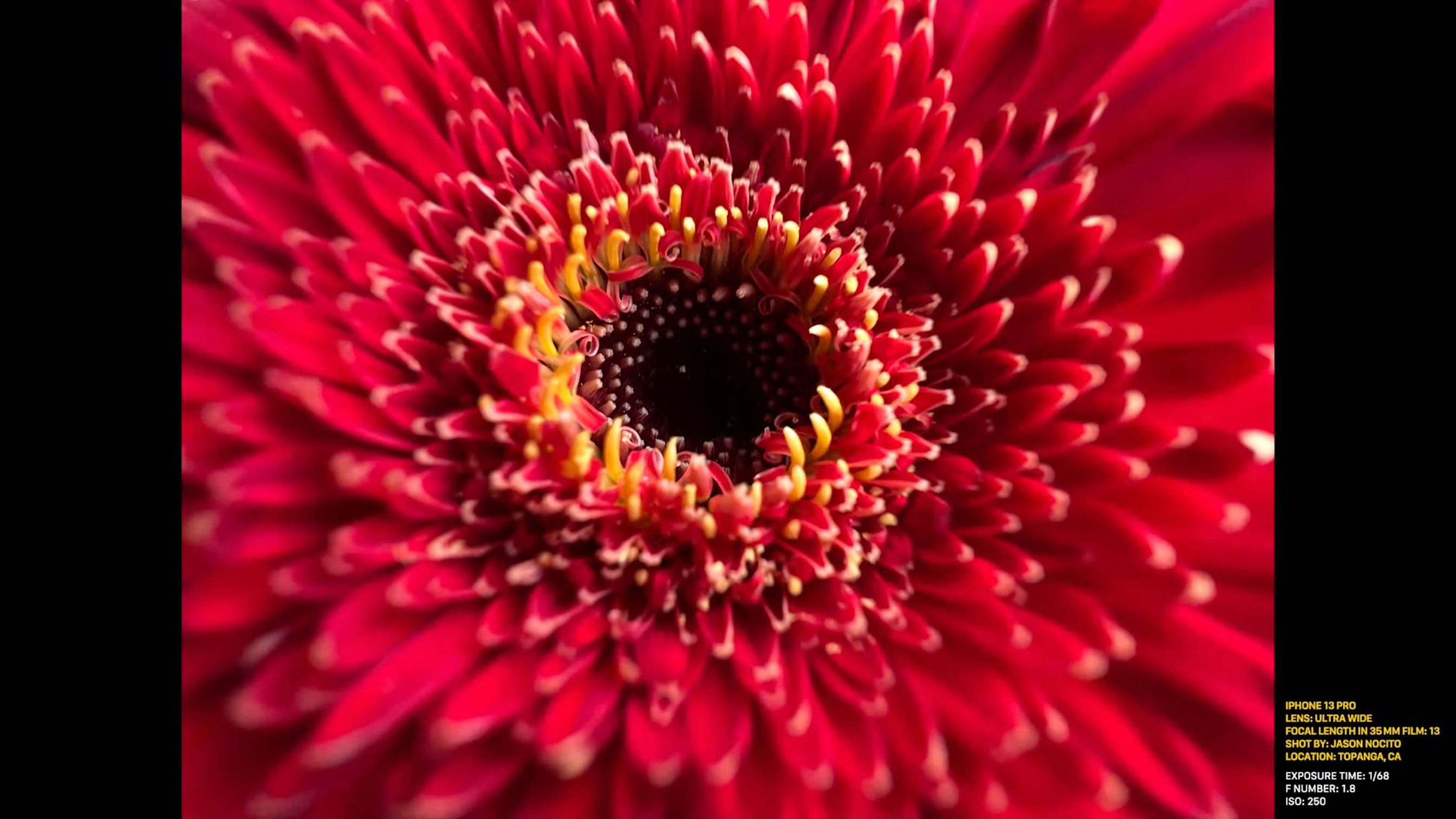 https://www.macfreak.nl/modules/news/images/zArt.iPhone13ProMacroFotografie-2.jpg