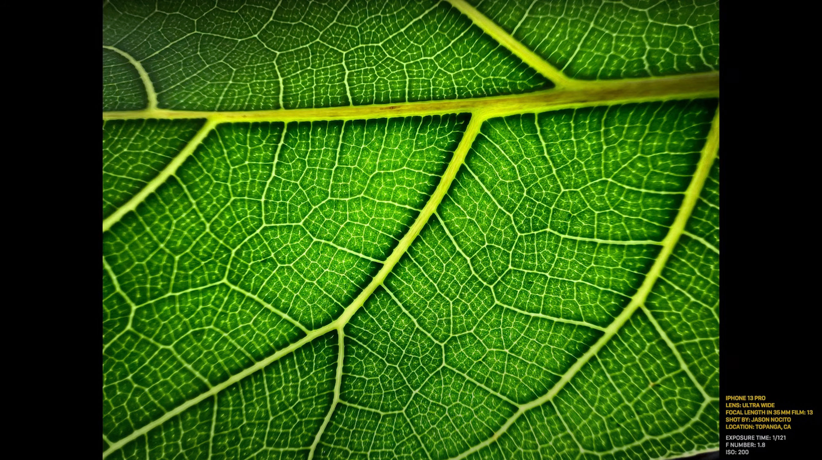 https://www.macfreak.nl/modules/news/images/zArt.iPhone13ProMacroFotografie.jpg