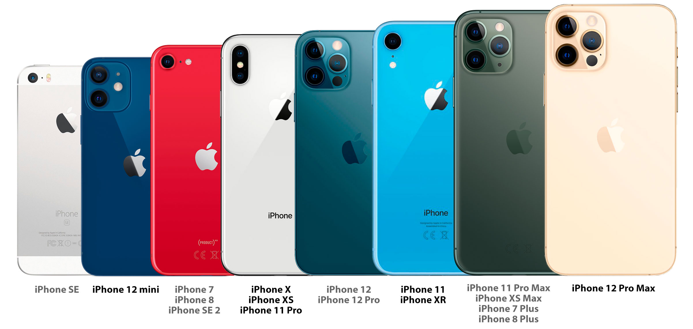 Martin Luther King Junior Garantie Schrijft een rapport Bekijk de groottes van alle iPhones naast elkaar