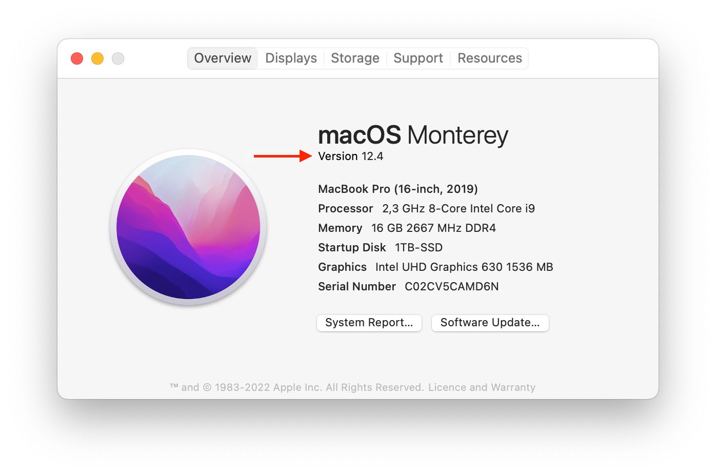https://www.macfreak.nl/modules/news/images/zArt.macOSMonterey12.4AboutThisMac.jpg